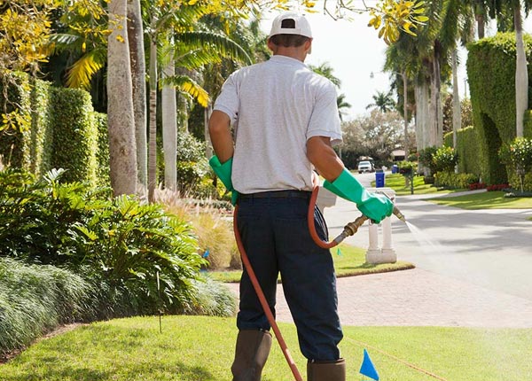 About Rural Ridge PA Pest Control Pros